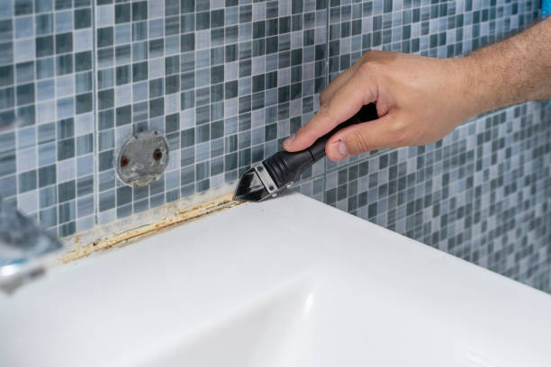 Best Mold Testing and Inspection Services in Ivanhoe, CA
