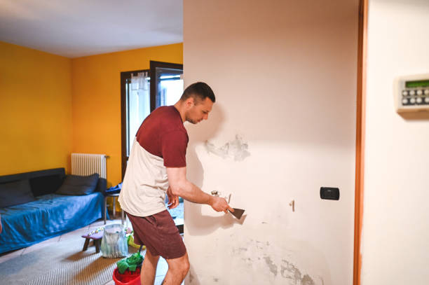 Best Crawl Space Mold Remediation in Ivanhoe, CA